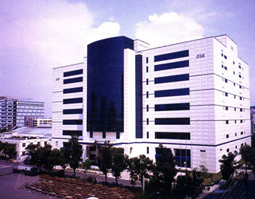 Orient Semiconductor Electronics Nanzi Palnt